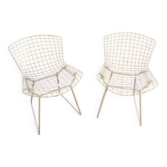 Harry Bertoia chairs