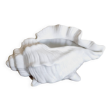 Cache pot coquillage barbotine blanche