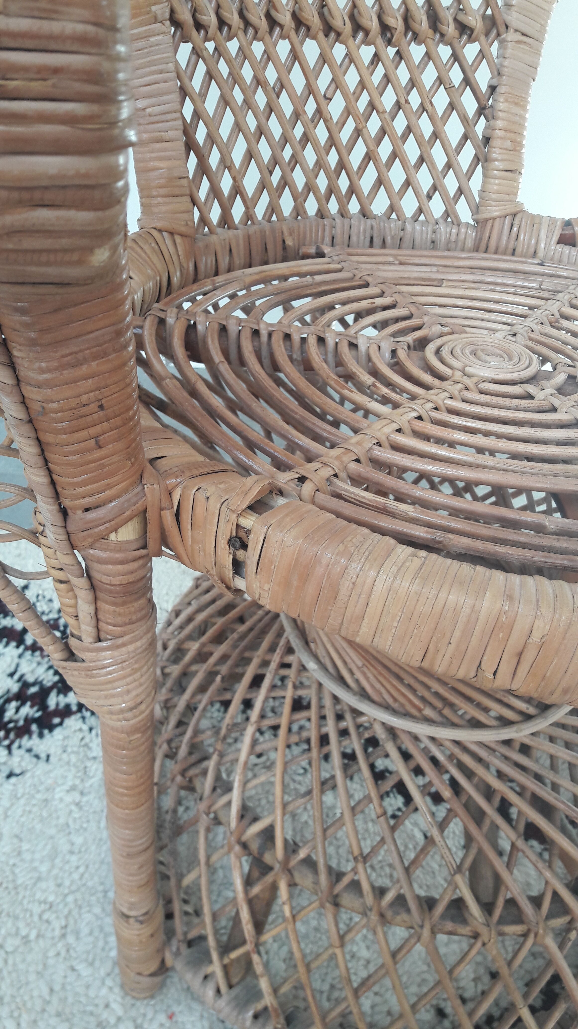 Emmanuelle peacock armchair