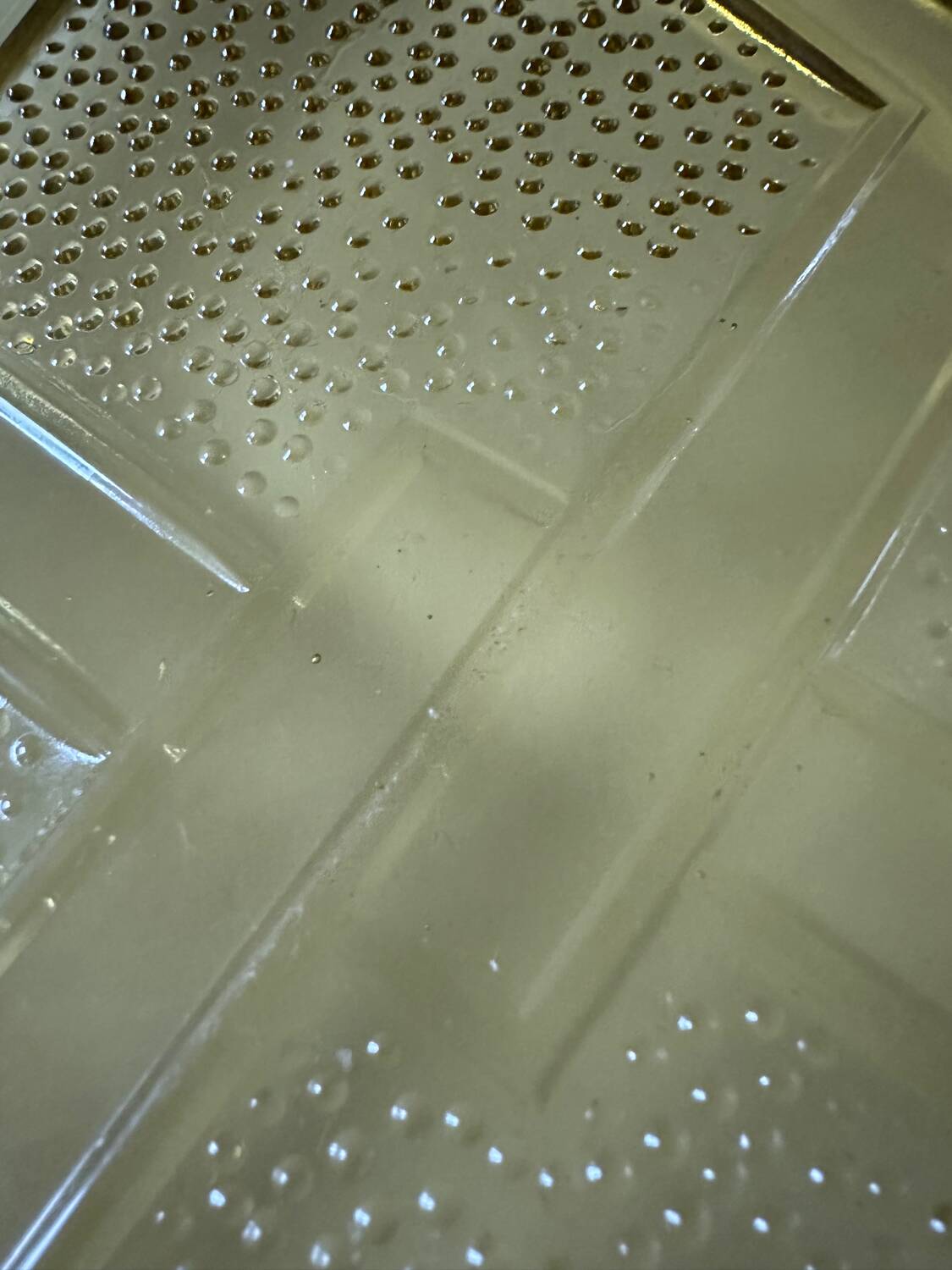 Art Deco molded glass dish