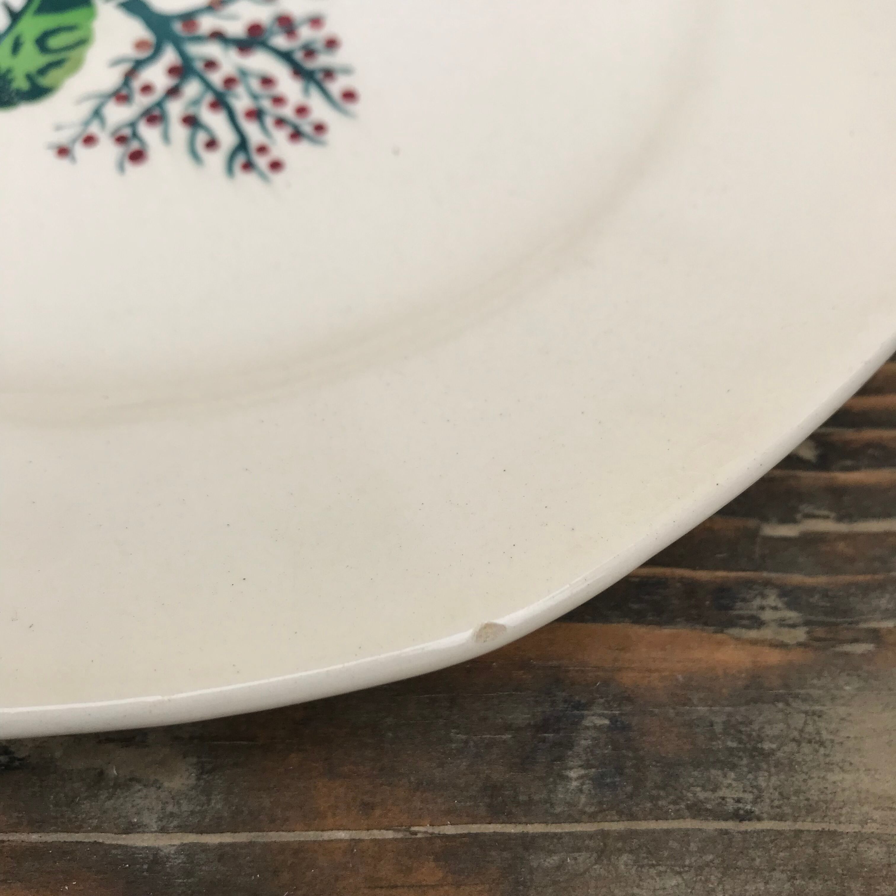 Set of 6 old flat plates Digoin/Sarreguemines model BAYEUX