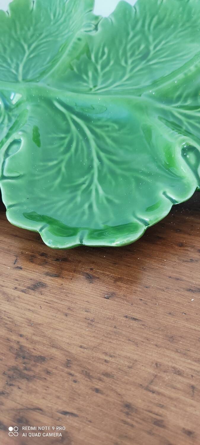 Barbotine appetizer dish
