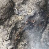 19th-century marble fireplace