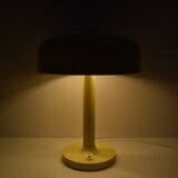 Rare Table Lamp by NAPAKO, 1970's.