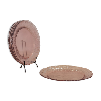 2 rosaline arcoroc flat plates