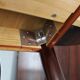 1960s Danish extendable palisander dining table, 4 leaves, restored