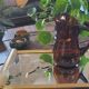 60's amber glass pitcher
