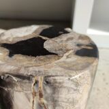Side table in petrified wood