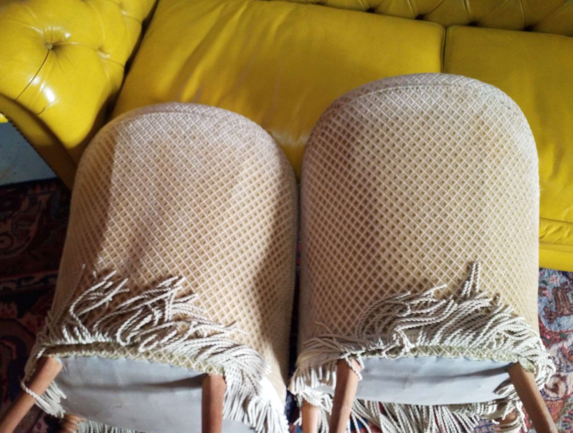 Pair of toad armchairs