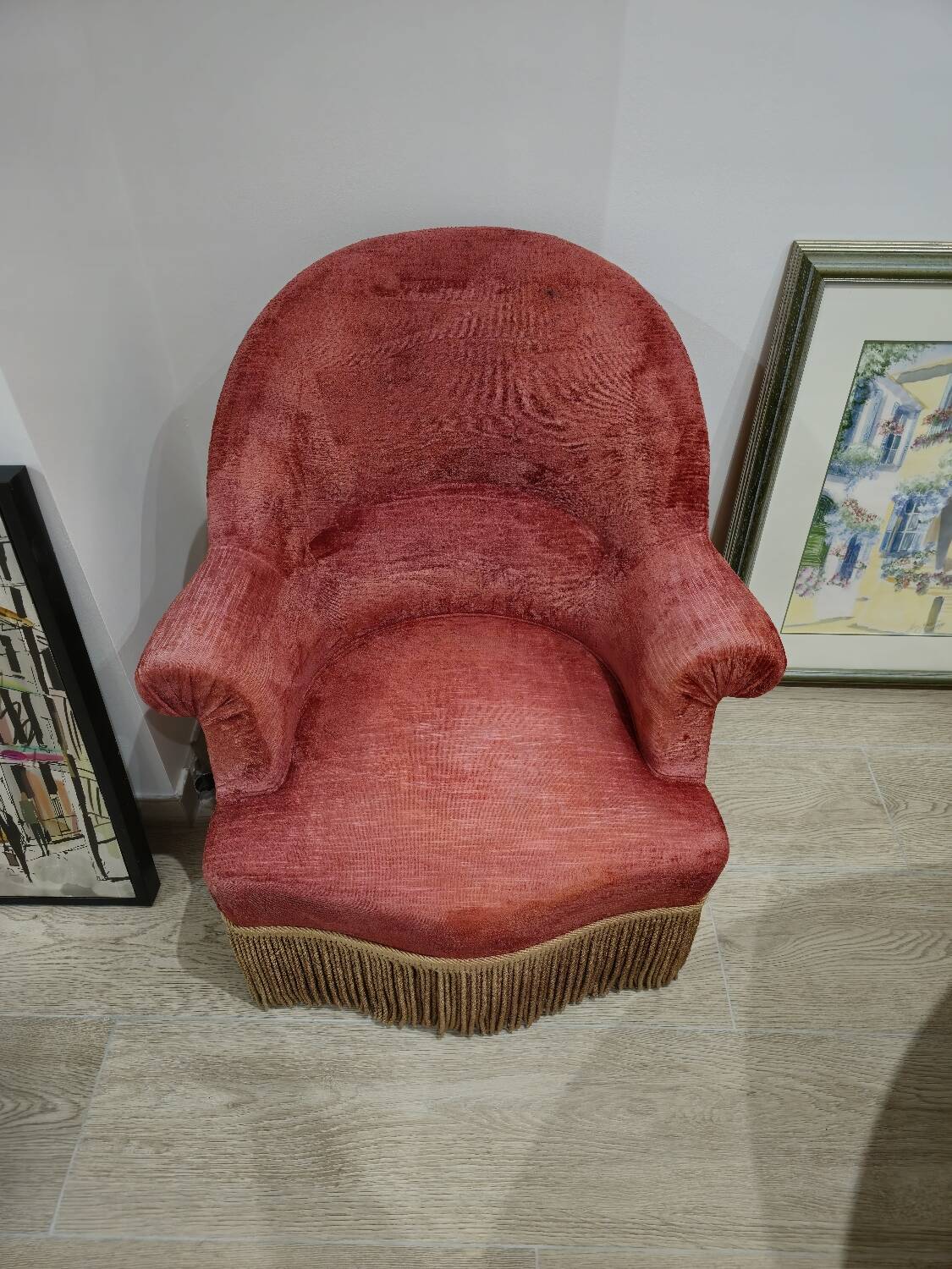 Burgundy velvet toad