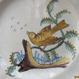 Plate XIXth, Perched bird catching insects