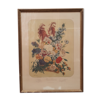 Poster ancient botanical flowers