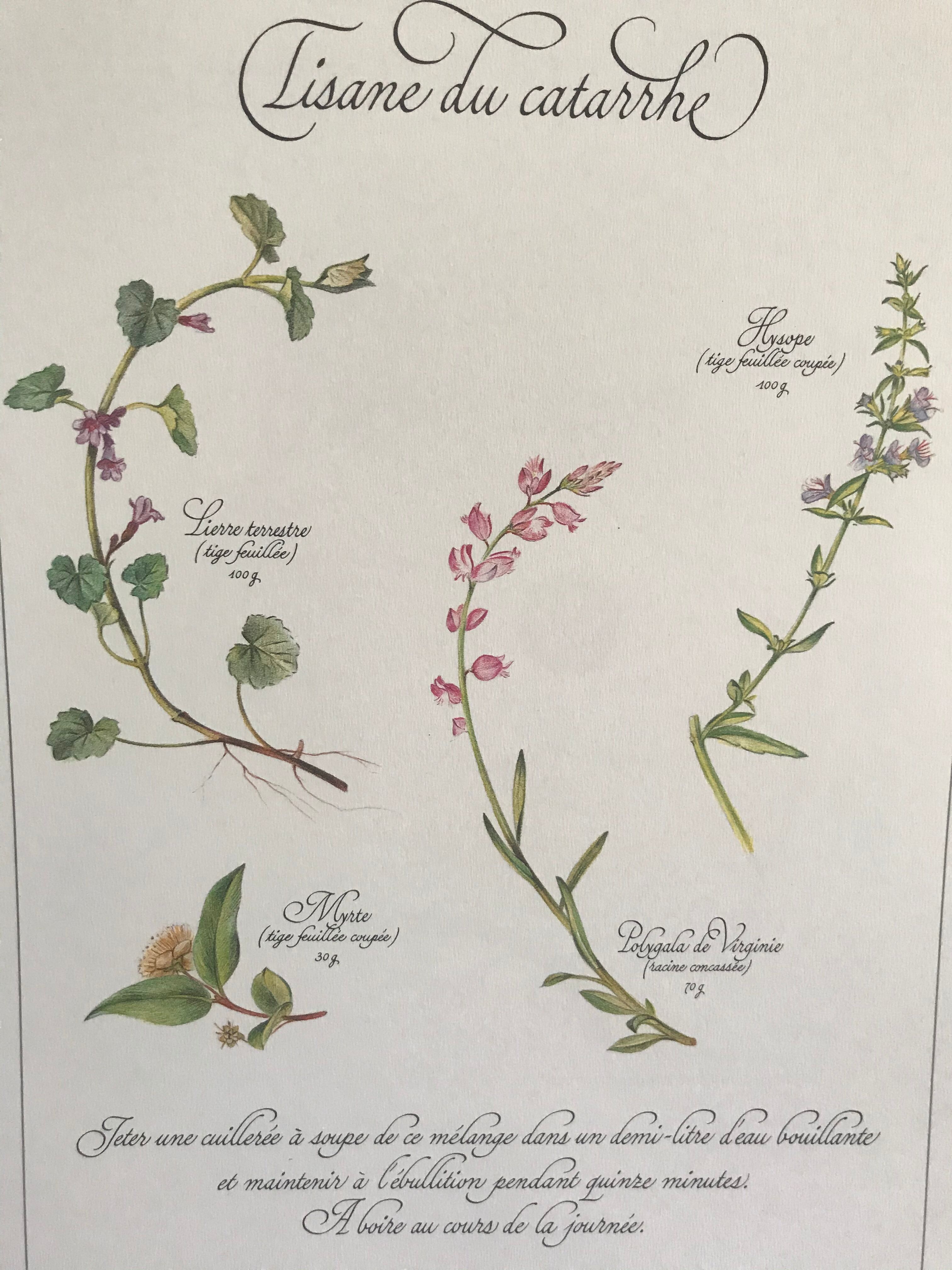 Vintage botanical board