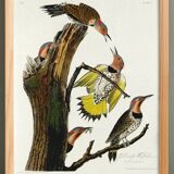 Poster about the Flaming Peak, based on an old engraving from 1827.