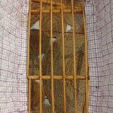 Ancien berceau vintage bambou/rotin