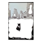 Fine Art Photography by Angelo Rizzuto “Cat on a Car” – New York, 1958