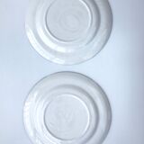 Lot of two plates Hibiscus