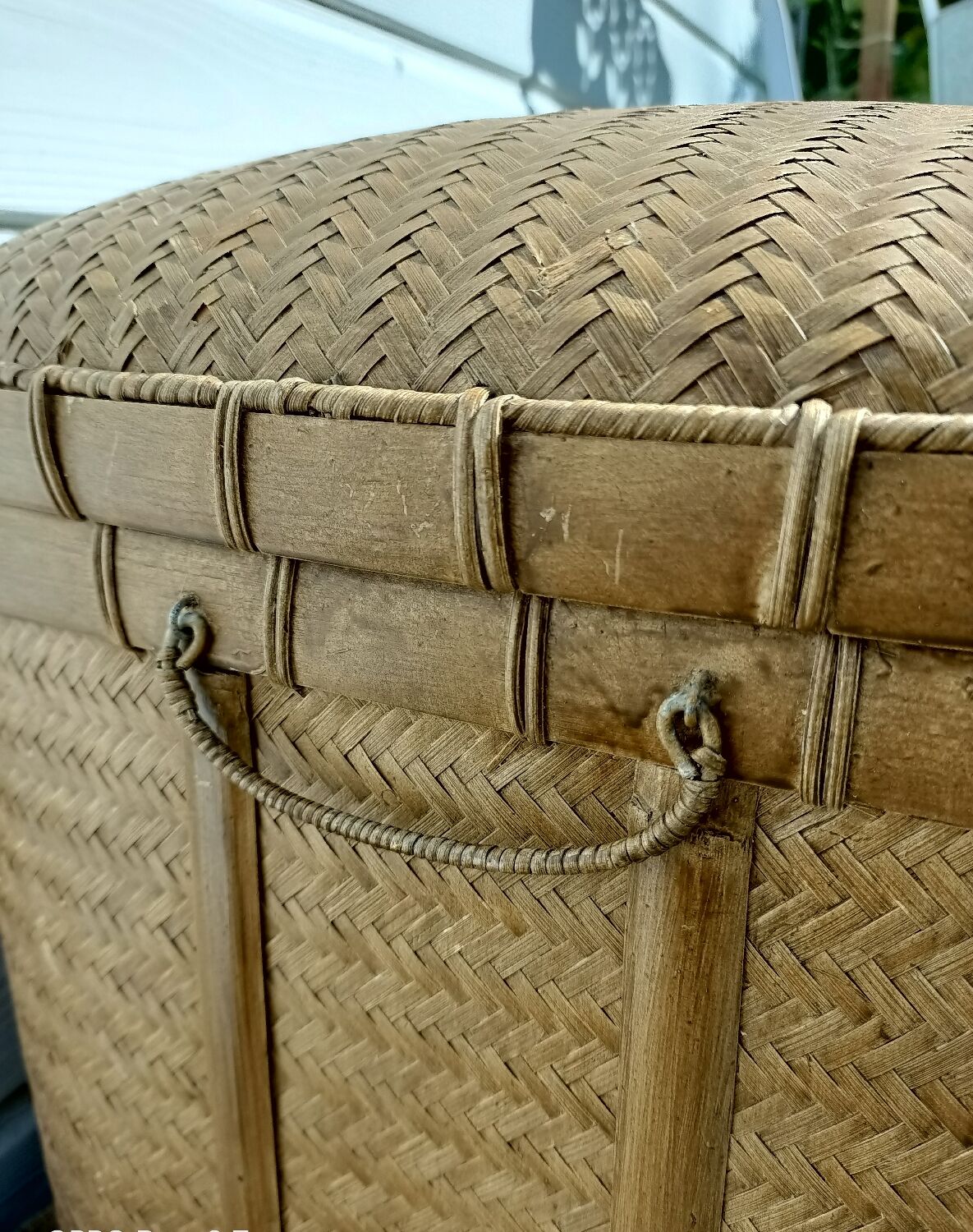 Old trunk rice straw