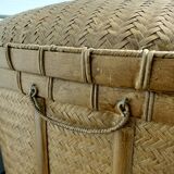 Old trunk rice straw