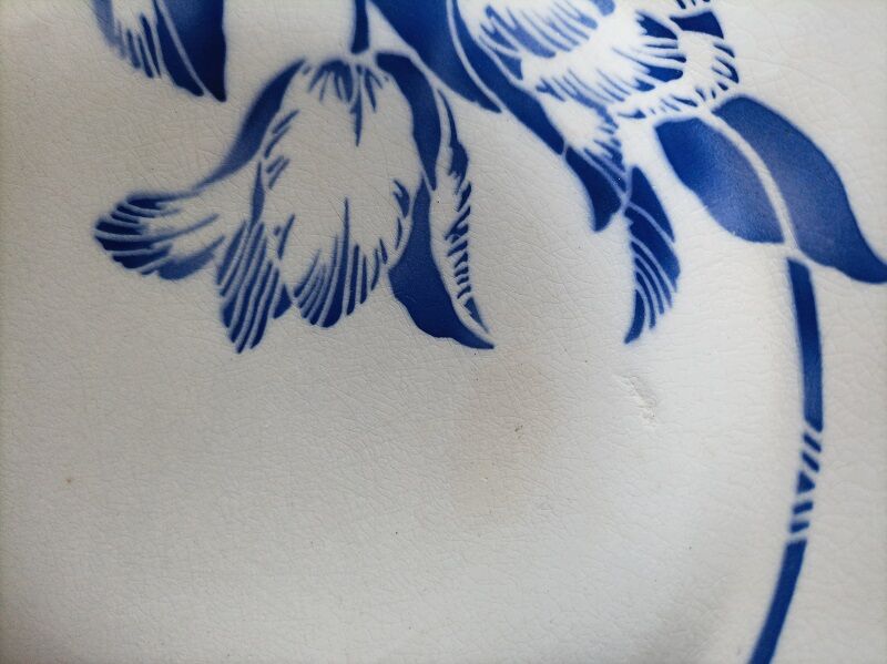 Set of 5 hollow plates St Amand in ceramic