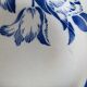 Set of 5 hollow plates St Amand in ceramic