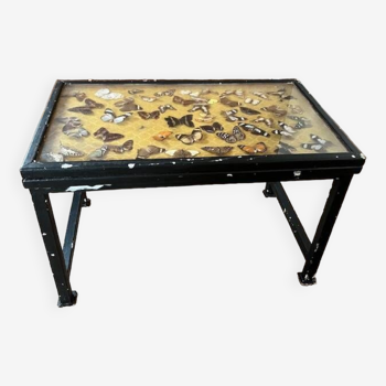 Table basse papillon