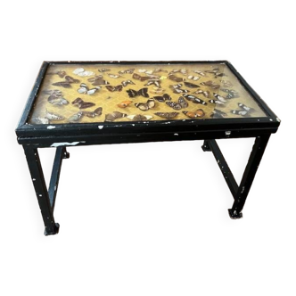 Butterfly coffee table