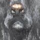 Vintage original dog portrait oil painting, signed animal art