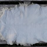 Sheepskin 85x55 cm