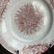 2 anciennes assiettes plates à fleurs rose poinçonner terre de fer hamage st amand "jardinière"