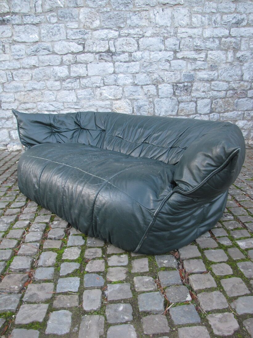 Sofa Brigantine by Michel Ducaroy for line Roset 1970