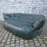 Sofa Brigantine by Michel Ducaroy for line Roset 1970