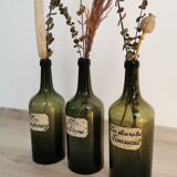 Antique Calrsbard bottles, apothecary