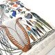 Old lithograph plate birds feathers 1900