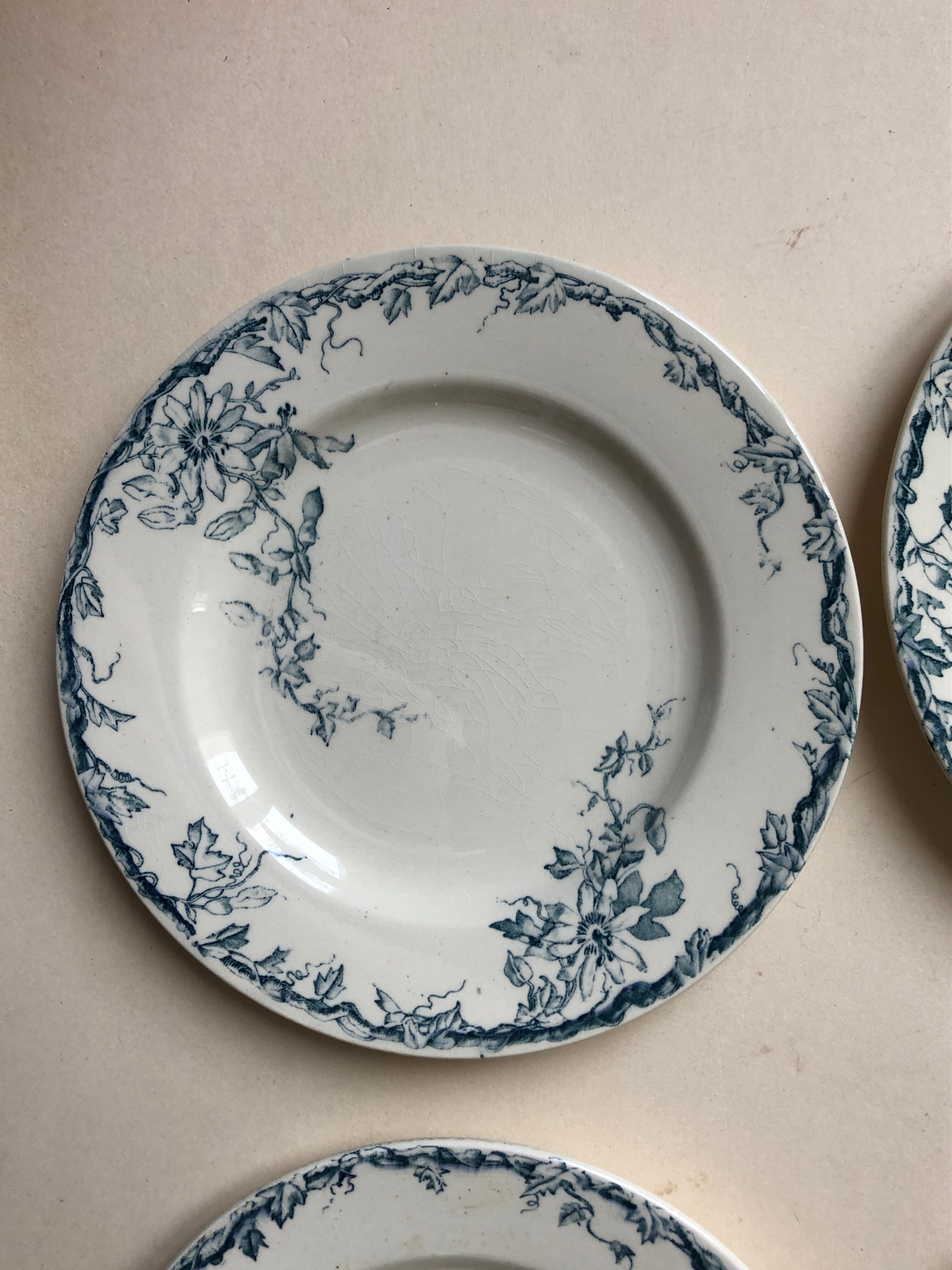 Set of 6 plates in faience Luneville model Passiflore
