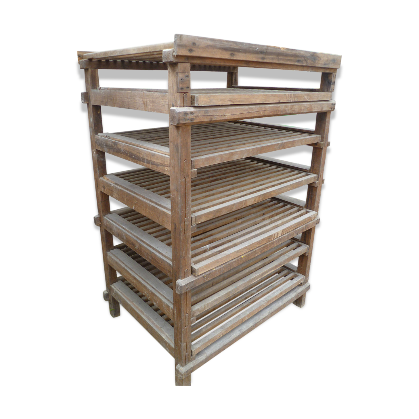 Vegetable fruit in PEAR and chestnut wood