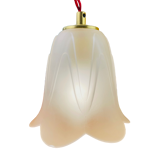 Walking lamp or suspension opaque globe shape of Art Deco flower