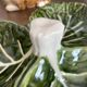Plat serviteur en barbotine feuilles de chou