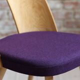 Set of 8 Mid Century Dining Chairs by A. Šuman, 1960s, Reupholstery Options