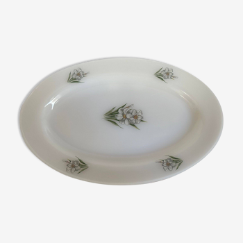 Arcopal Narcissus oval dish