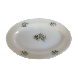 Arcopal Narcissus oval dish