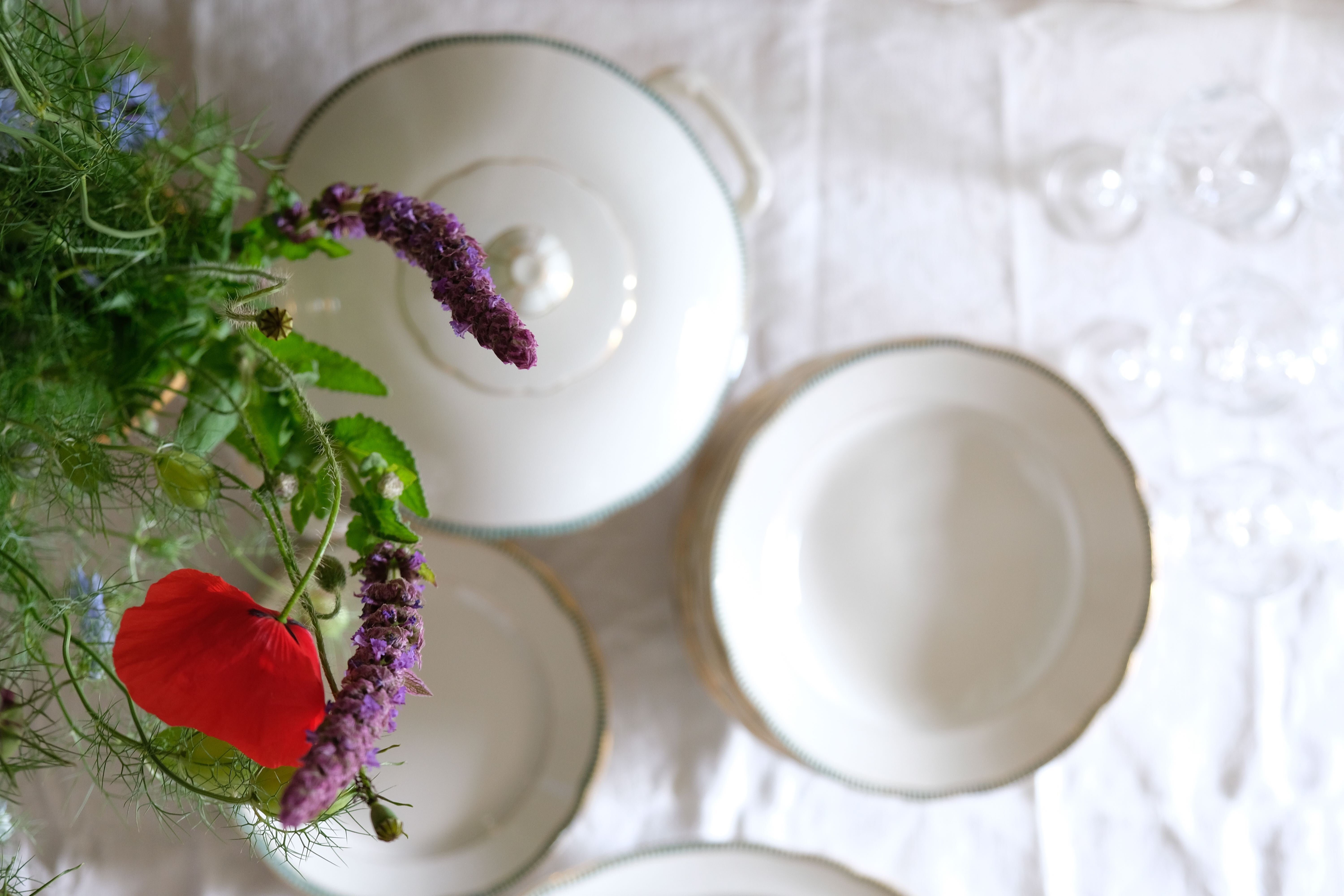 Set of 12 porcelain soup plates collection ''Juan'' Sarreguemine Digoin 1950