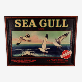 Vintage framed Seagull advertising