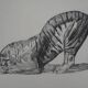 Paul Jouve: Tiger on its prey, original engraving