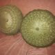 Round pleated velvet cushion