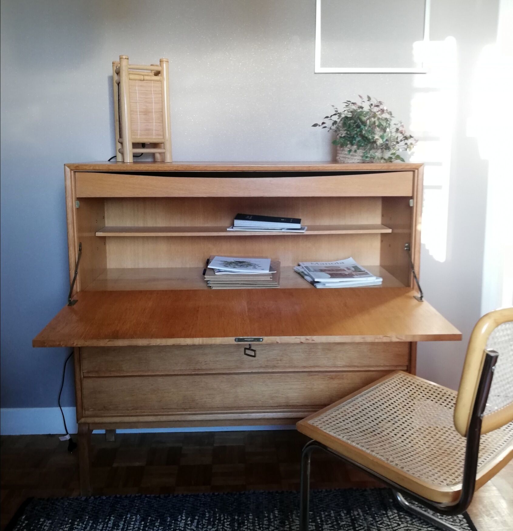 Scandinavian Secretary 1960