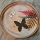 Old bamboo and rattan tray / 6 butterfly coasters / entomology height 4 cm / diameter 28 cm
