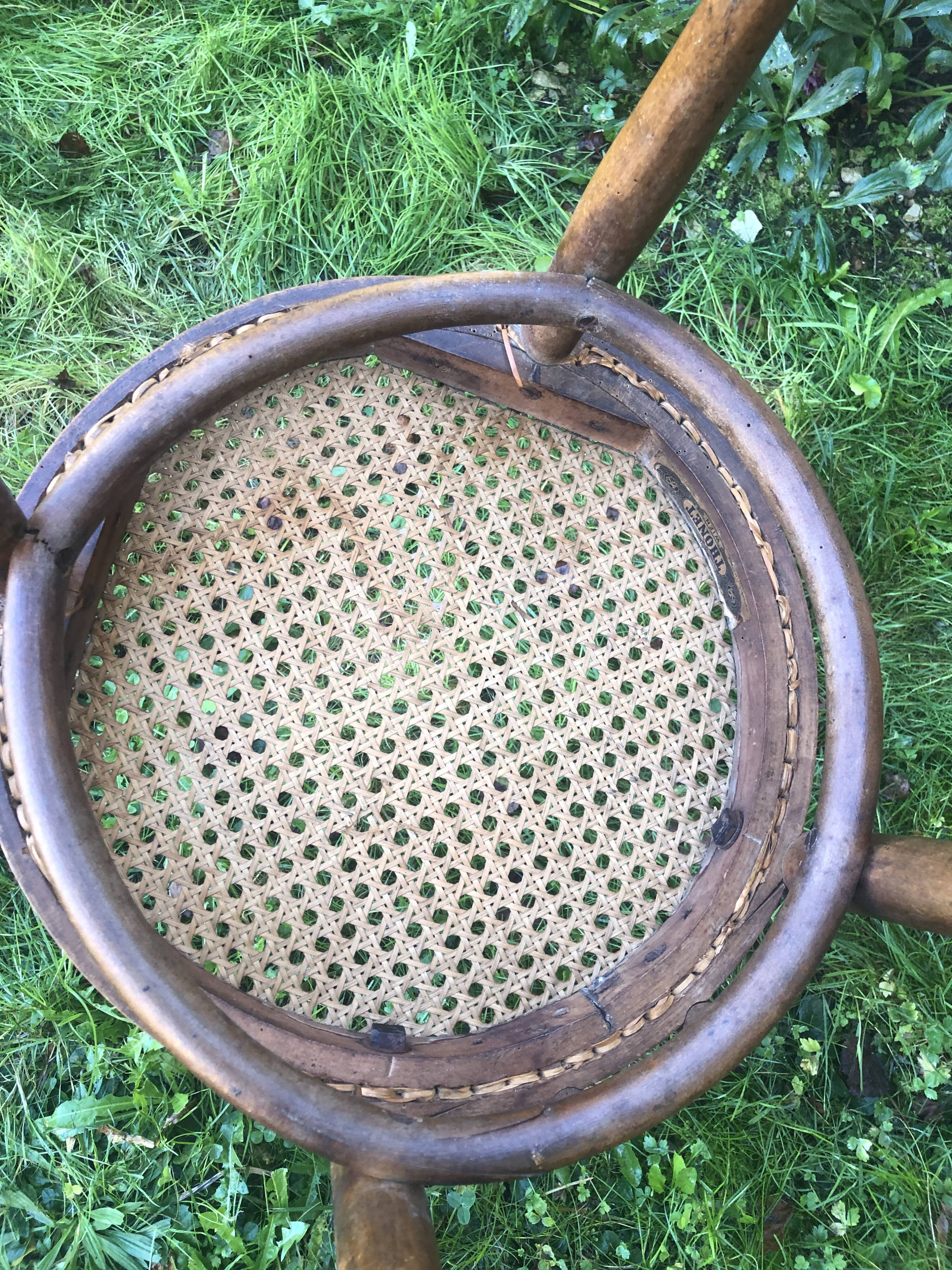 Chaine Thonet cannée
