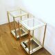 Pair of gold meta harnesses and glass tops