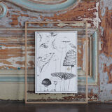 Table "Autumn" - illustration